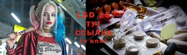 ГАЛЛЮЦИНОГЕННЫЕ ГРИБЫ Алзамай