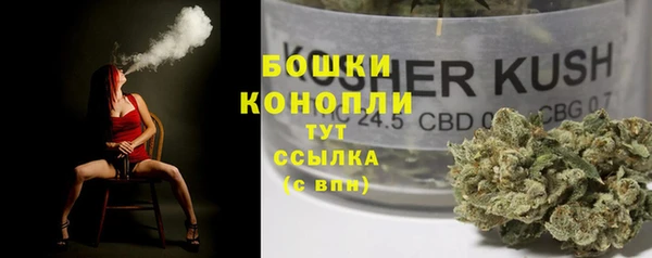 ГАЛЛЮЦИНОГЕННЫЕ ГРИБЫ Алзамай