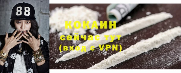 прущие грибы Абаза