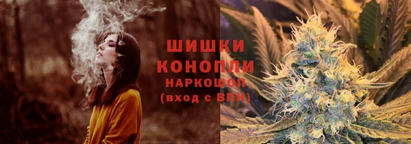 амф Гусиноозёрск