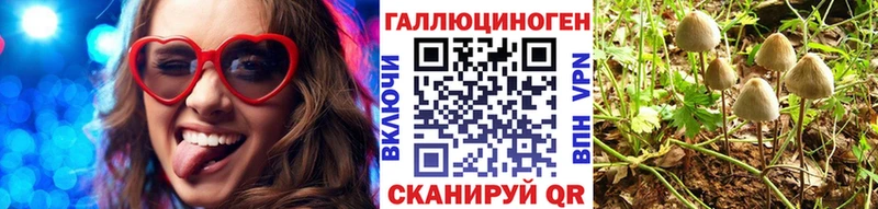 Галлюциногенные грибы MAGIC MUSHROOMS  дарнет шоп  Пыталово 